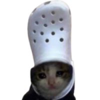 Croc CAT