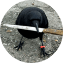 crow with knife