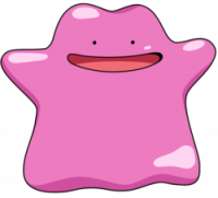 Ditto