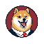 DOGE PRESIDENT