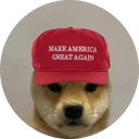 dogwifmaga