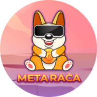 MetaRaca