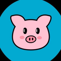 PiggyCoinBSC