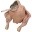 Smoking Chicken Fish