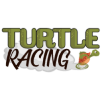 Turtle Racing